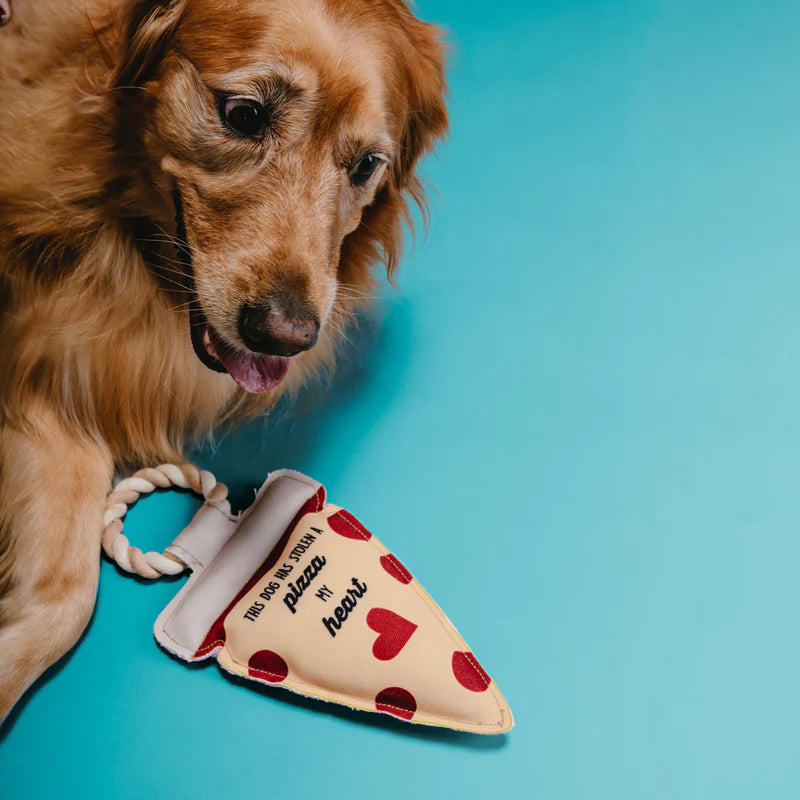 Pizza My Heart 13 Canvas Dog Toy on Rope - This dog has stolen pizza my heart