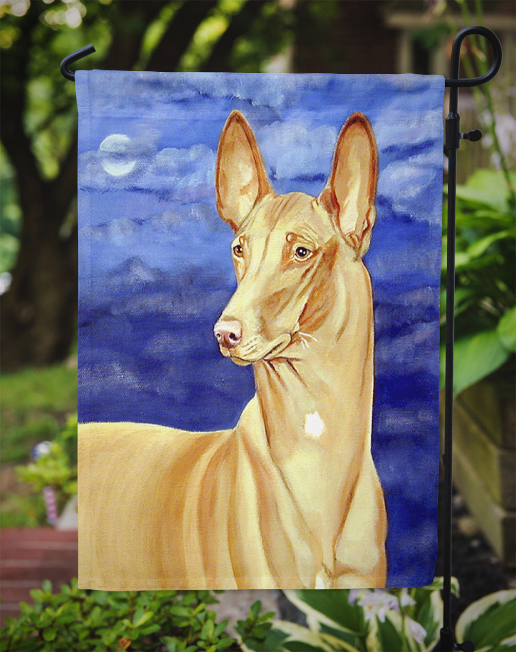 Pharaoh Hound Garden Flag – Decorative Outdoor Yard Flag