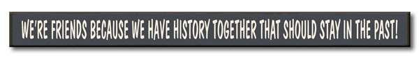 WE'RE FRIENDS BECAUSE WE HAVE HISTORY TOGETHER THAT SHOULD STAY IN THE PAST Skinnie Sign