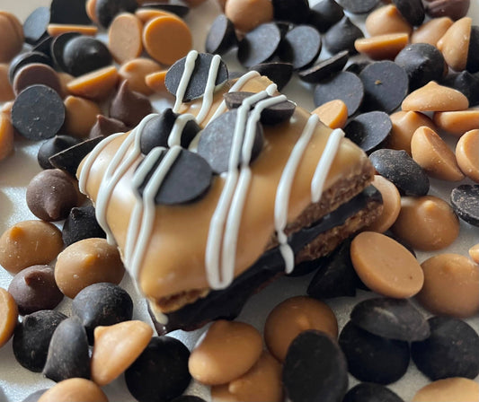 Peanut butter & Carob chip dog treat truffles - YumYum4DOGS