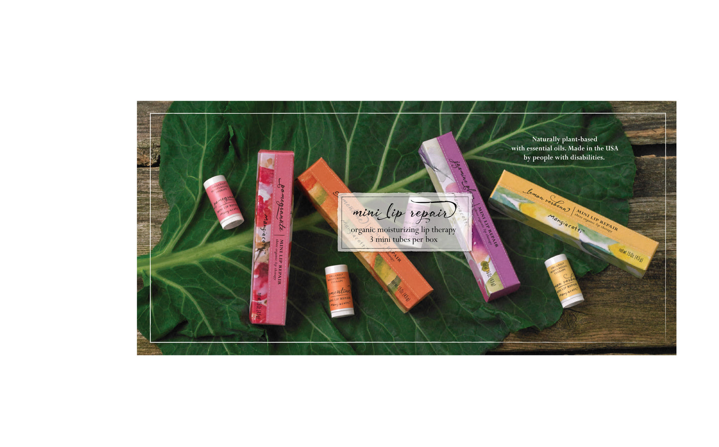 Mangiacotti Mini Lip Repair