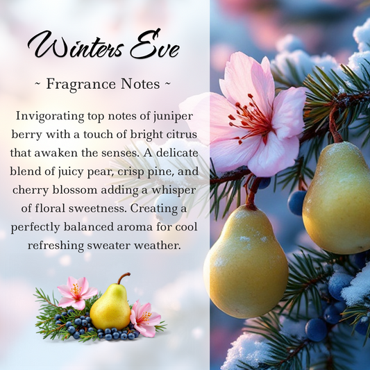 Limited Edition: Winter's Eve Crystal Candle | Coconut-Soy Wax Candle, 9oz