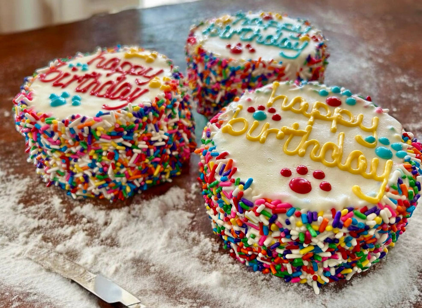 Carnival Birthday dog cake treat - YumYum4DOGS