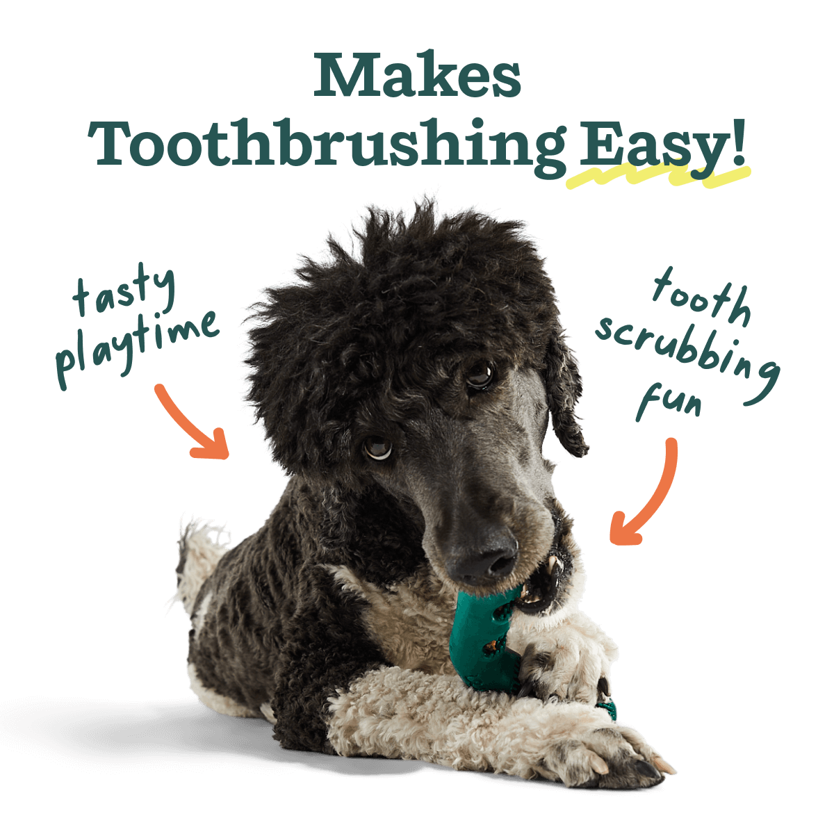 Woof - The Bite n' Brush