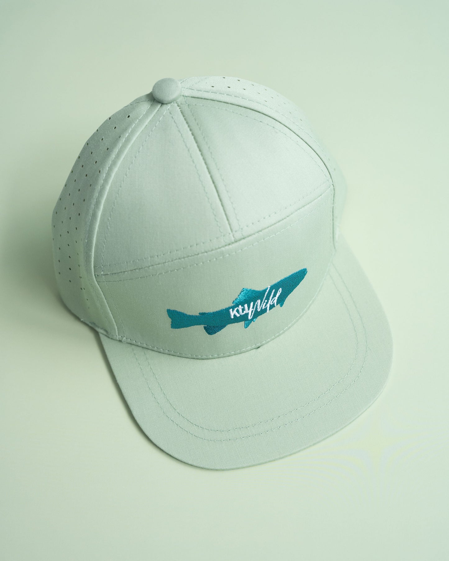 The Catch Hat