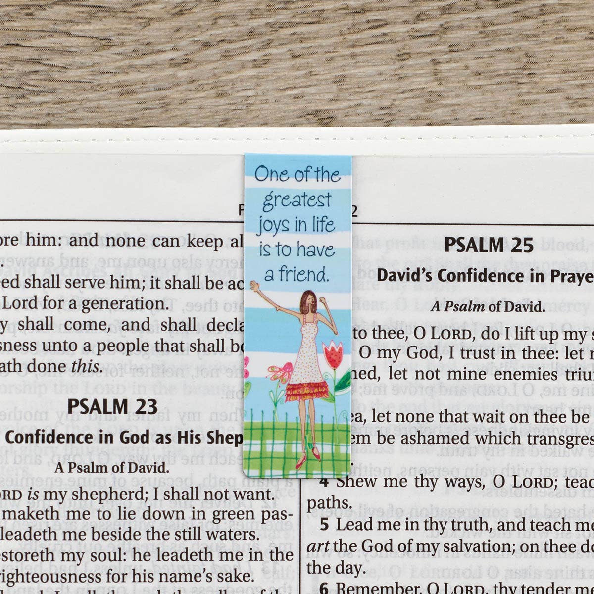 Magnetic Bookmark Set Whimsical