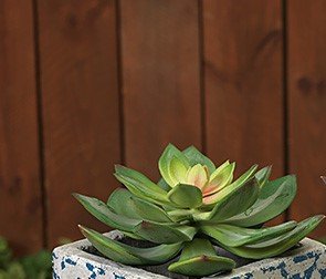 PINK CENTER 7-INCH LONG ARTIFICIAL SUCCULENT PICK