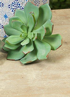 RED TIP 7-INCH LONG ARTIFICIAL SUCCULENT PICK