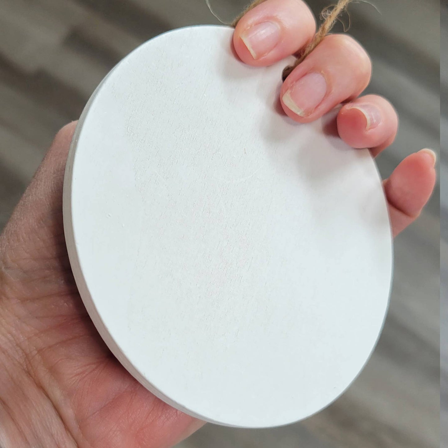 Buggs Island Lake / DoodleBugsonthelake Circle Shaped Wood Ornament