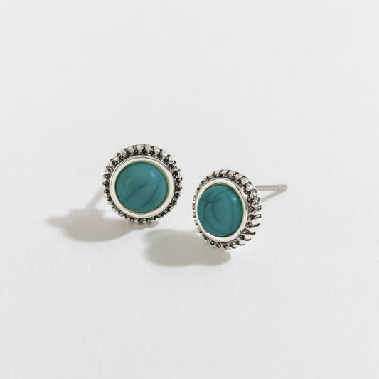 Silver & Stone Stud Earrings