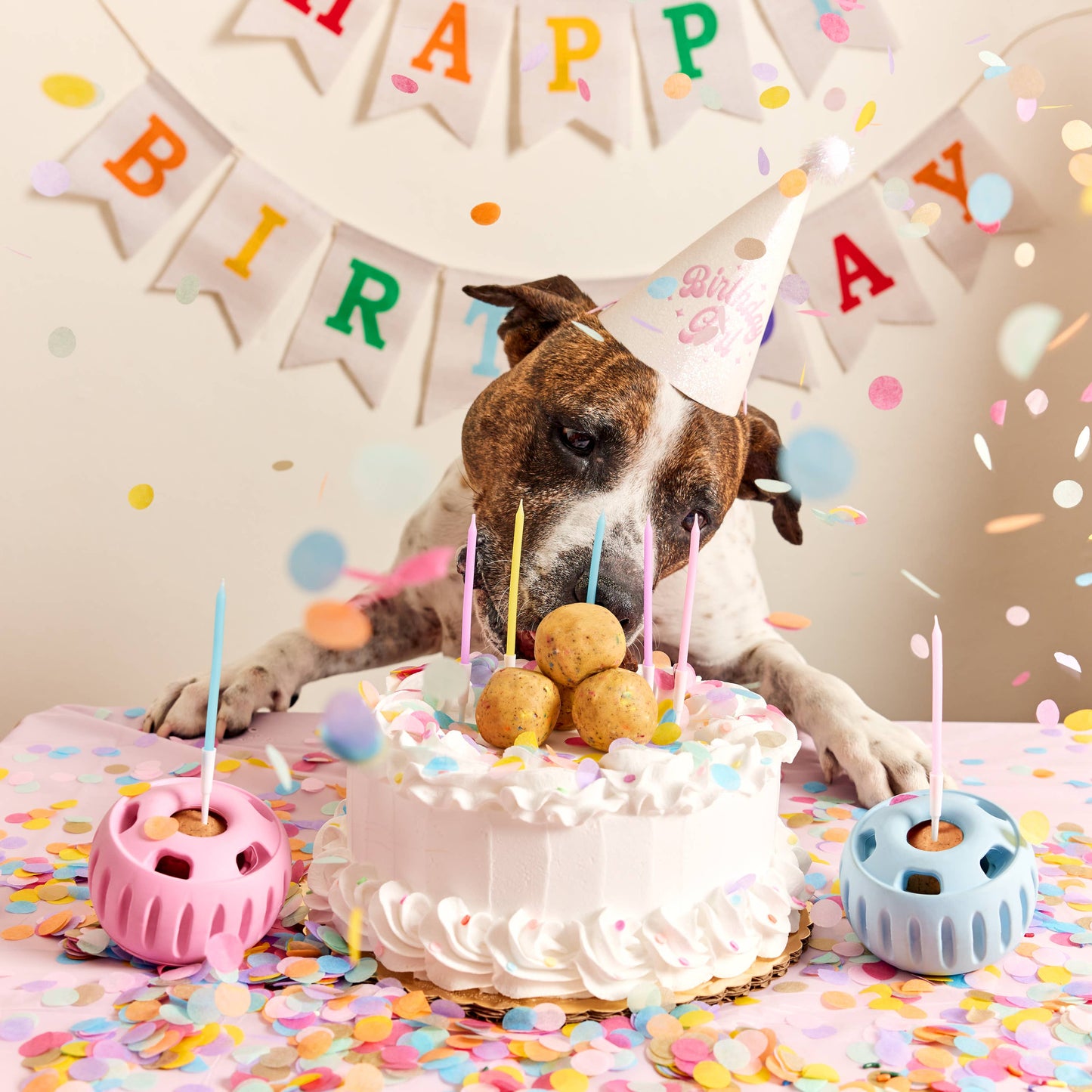 Woof - Birthday Pops