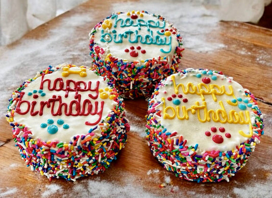 Carnival Birthday dog cake treat - YumYum4DOGS