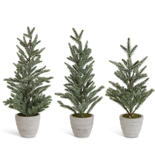 Snowy Pine Trees in Gray Cement Pots 3 Asst