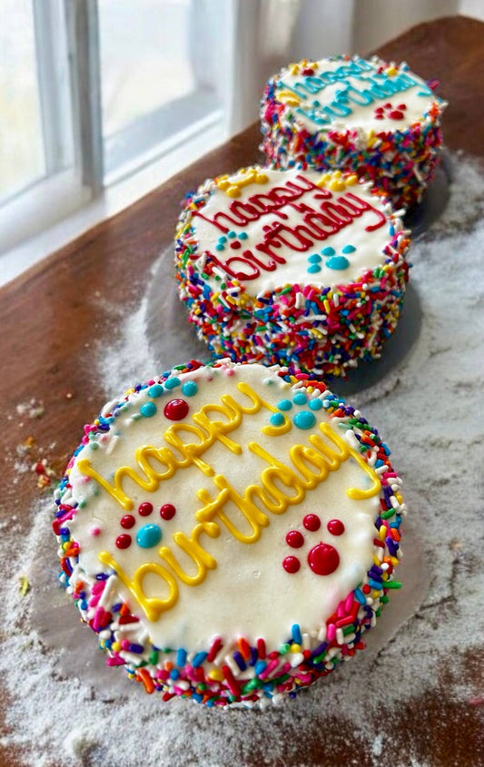 Carnival Birthday dog cake treat - YumYum4DOGS