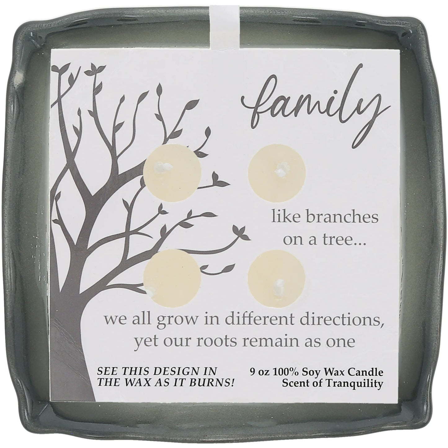 Family 9 oz - 100% Soy Wax Reveal Candle Scent: Tranquility