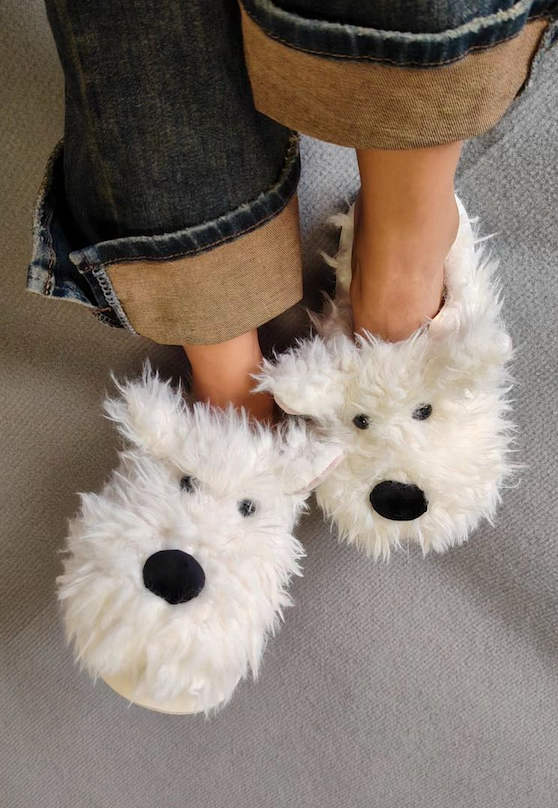 Fluffy Dog slippers