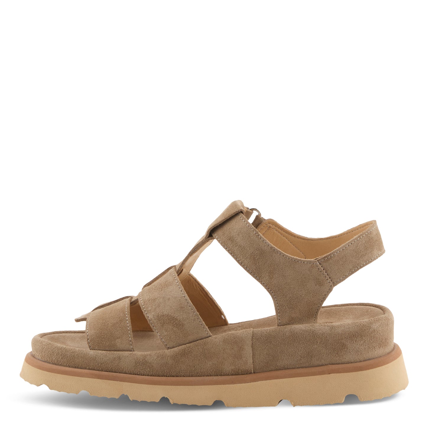 ANNIEROSE Light taupe suede gladiator sandal by Spring Step from Spring Step Shoes