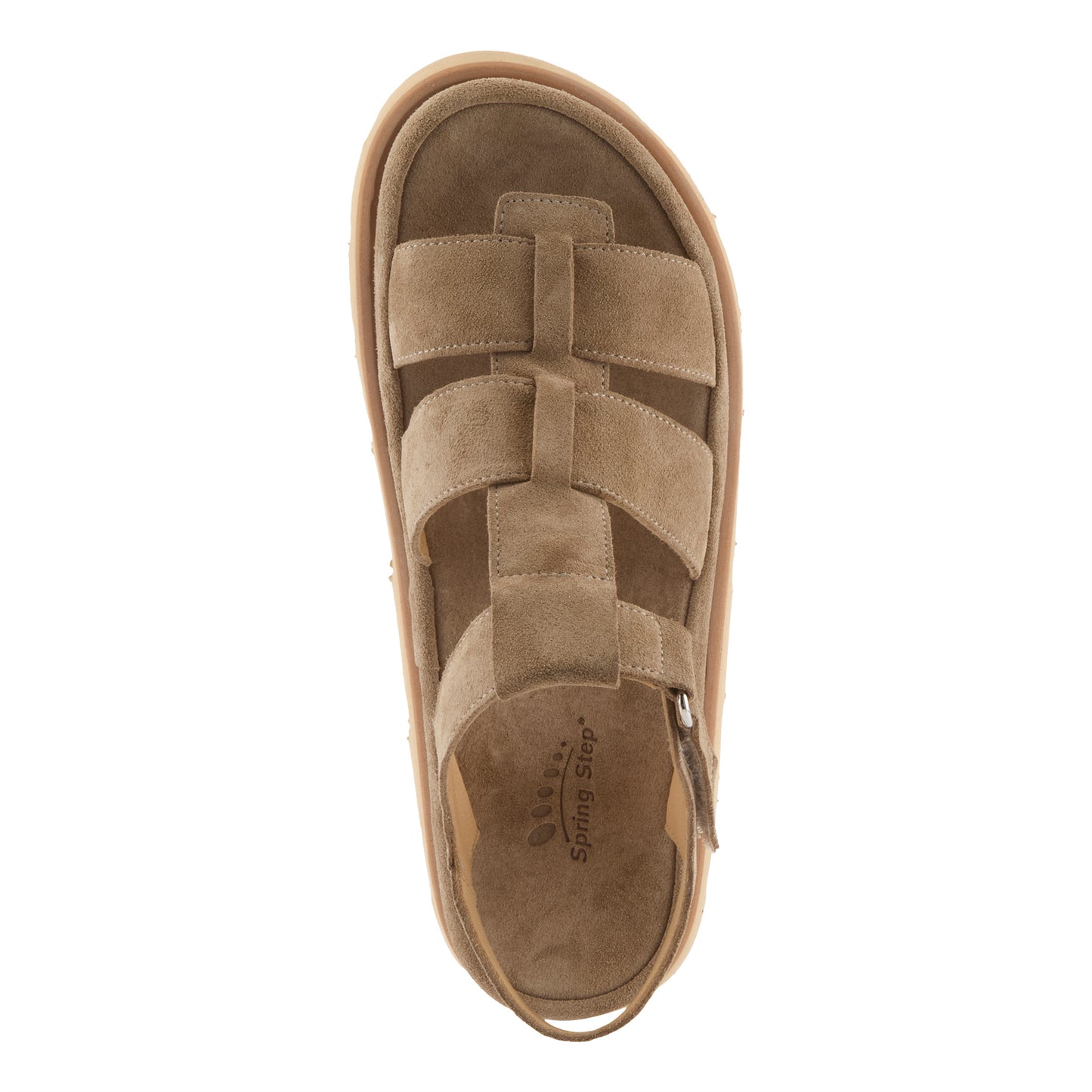 ANNIEROSE Light taupe suede gladiator sandal by Spring Step from Spring Step Shoes