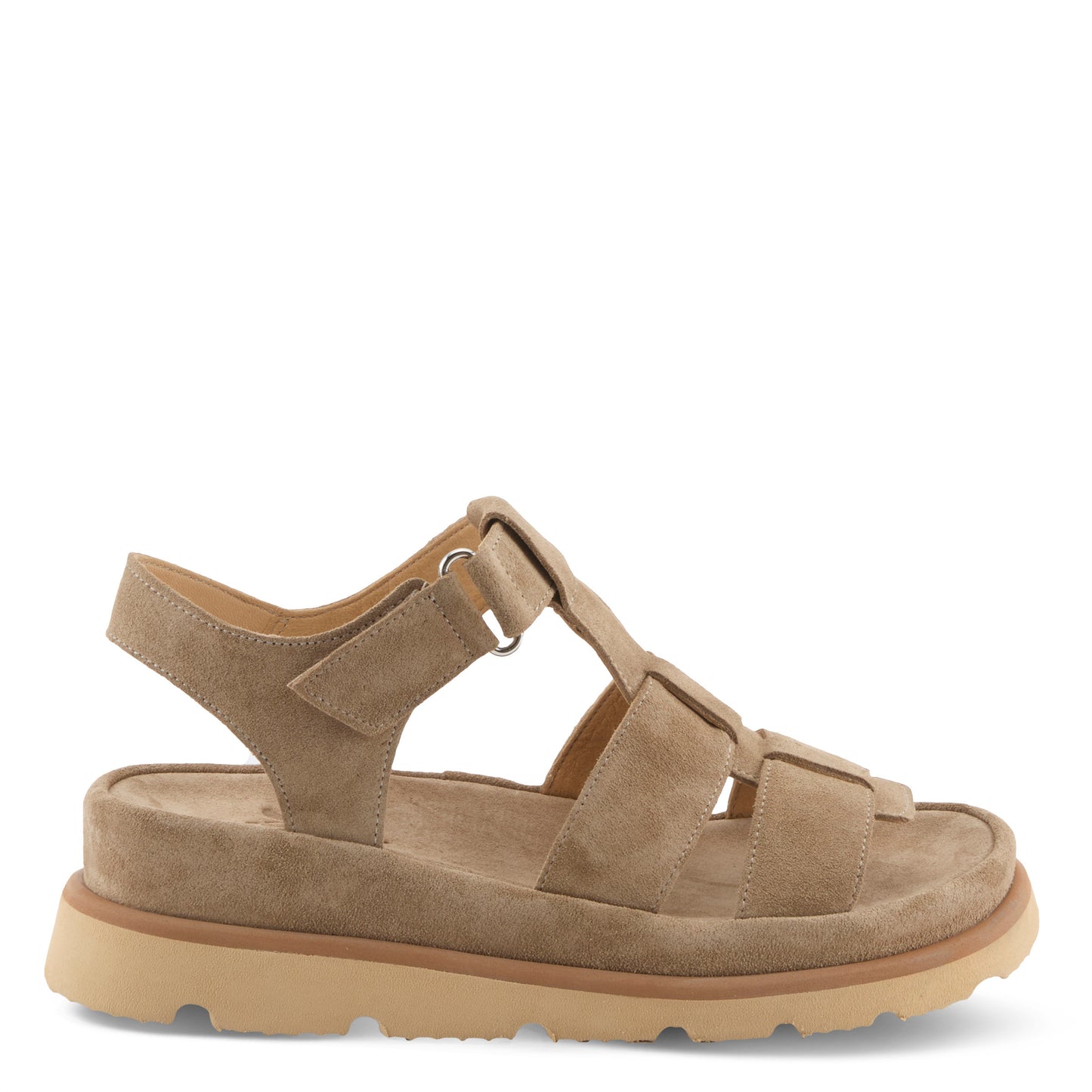 ANNIEROSE Light taupe suede gladiator sandal by Spring Step from Spring Step Shoes