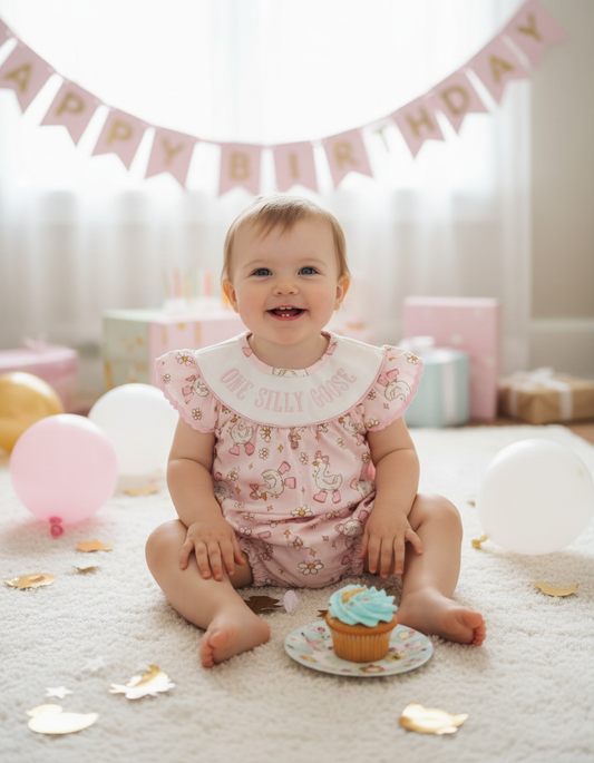 One silly goose romper
