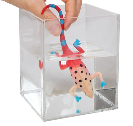 COLOR CHANGING REVEALEONS Each Sold Separate Colors Chosen at Random