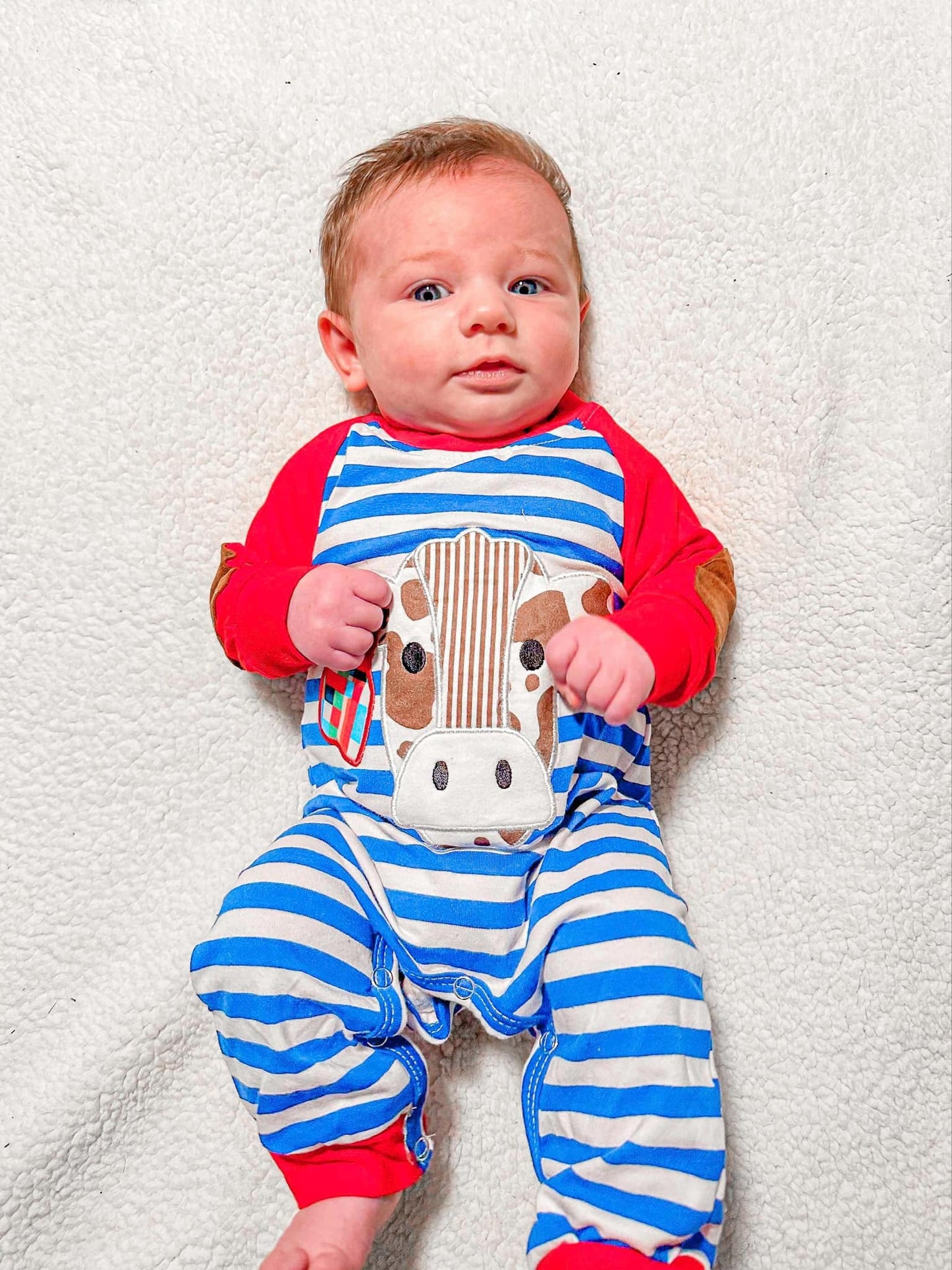 Blue and red Cow stripes romper