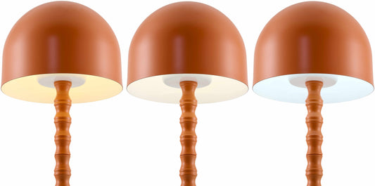 Magdagachi Orange Table Lamp