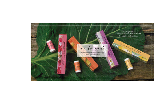 Mangiacotti Mini Lip Repair