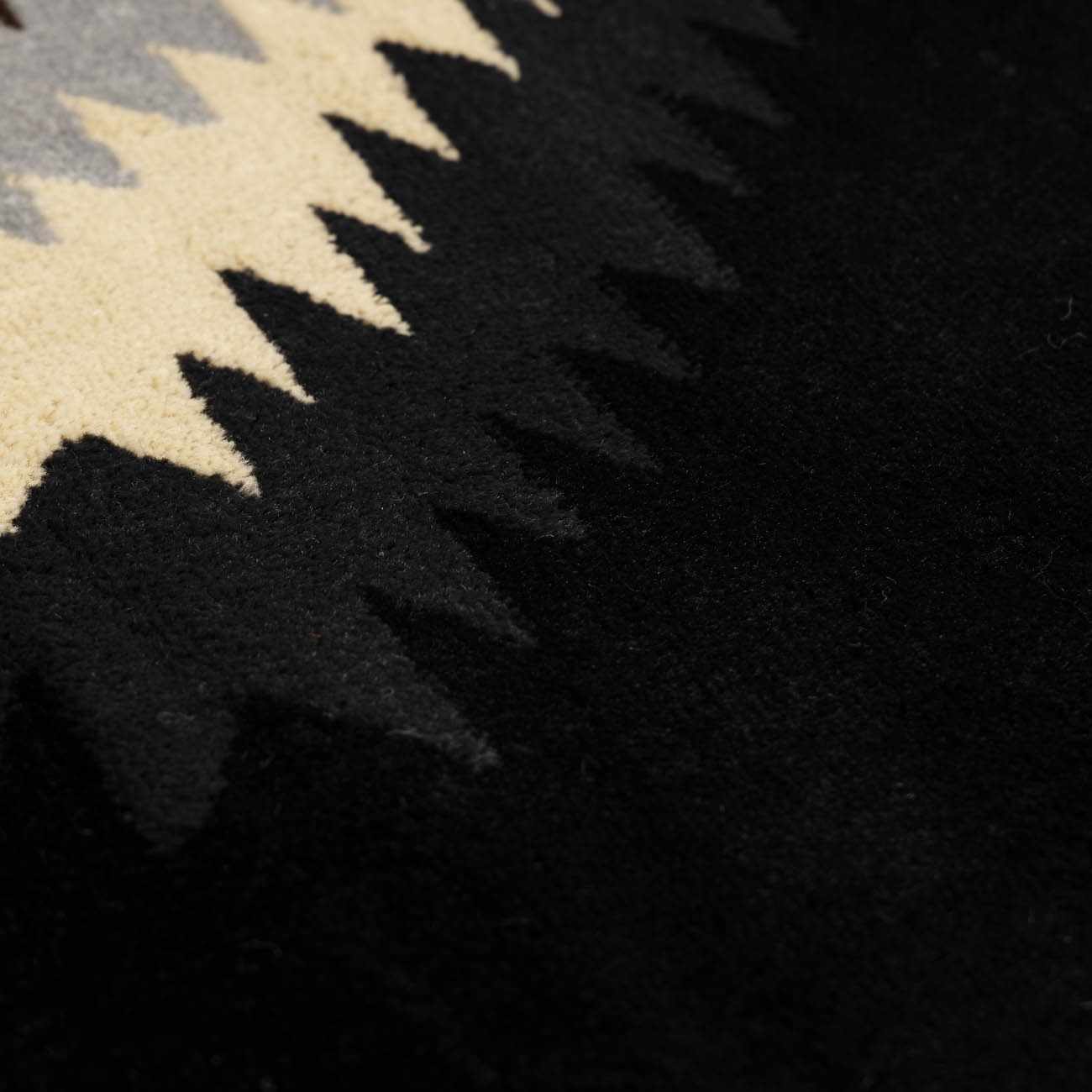 Buckhaven Black Southwestern Area Rug