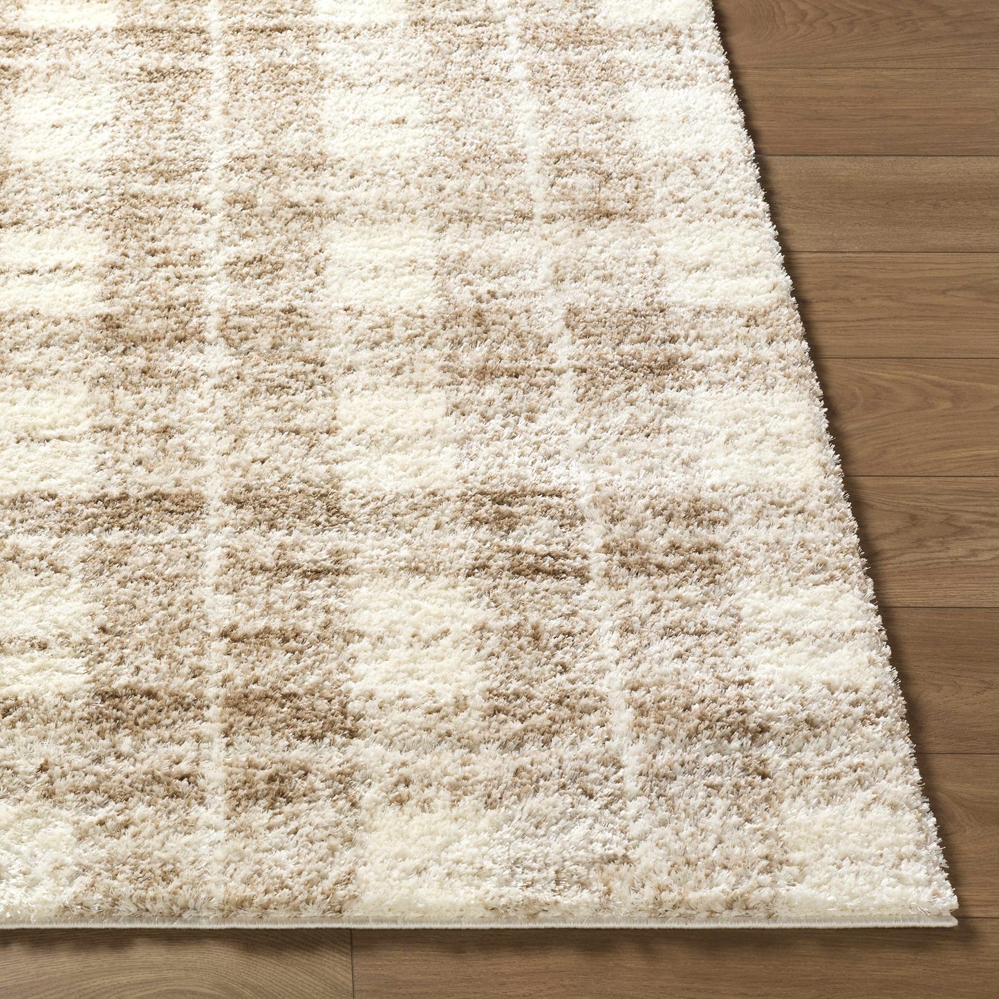 Anfisa Beige Luxe Shag Area Rug
