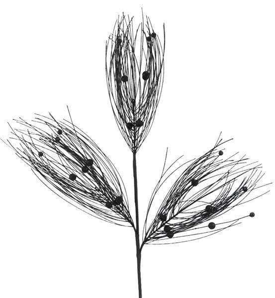 Needle Pine/Ball Spray Black Glitter 33 Long