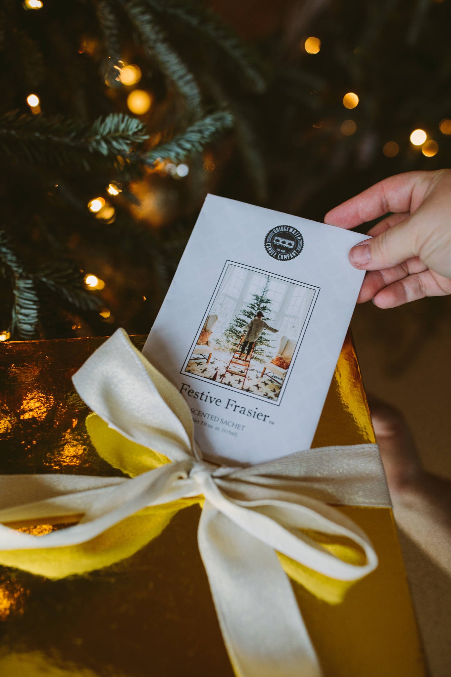 Festive Frasier Sachet Pack