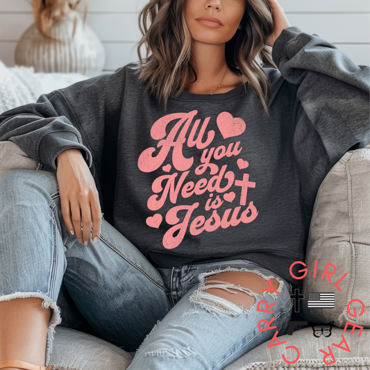 ALL YOU NEED IS JESUS Sweatshirt