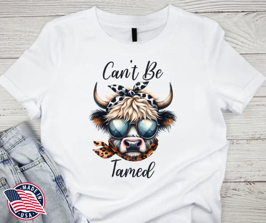 Can't Be Tamed – Multi