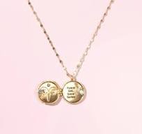 Aries Hidden Message Locket March 21- April 19 Laura Janelle Necklace Forever bold forever fearless 18in with 3in extender