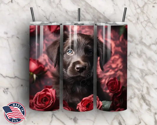 My Heart Loves – Multi